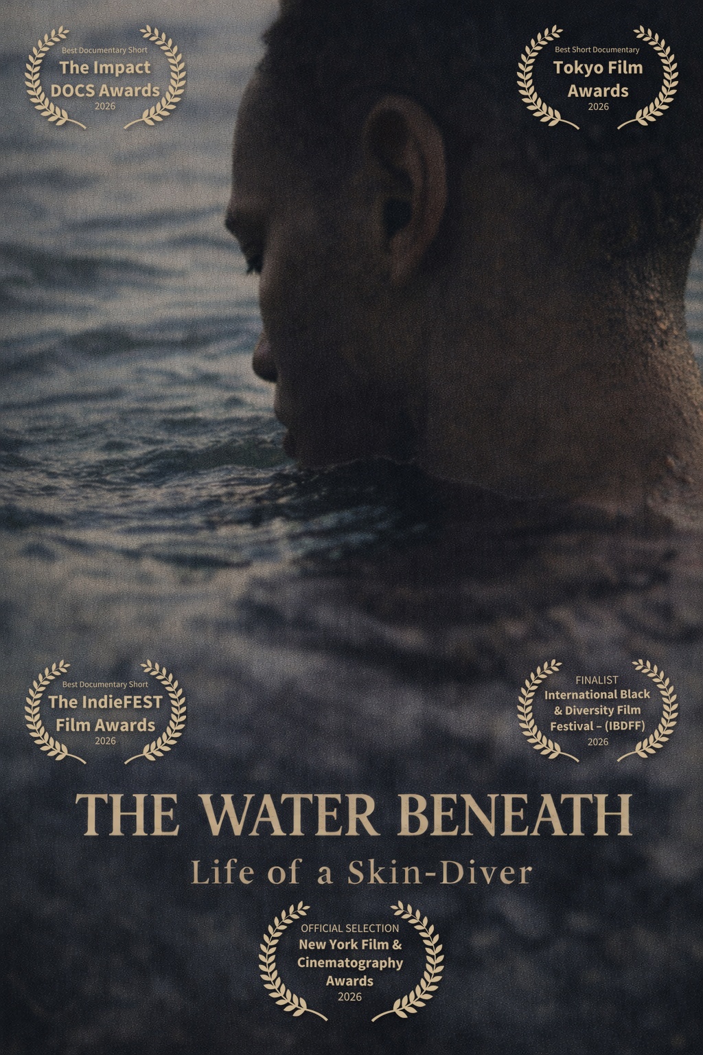 The Water Beneath poster
